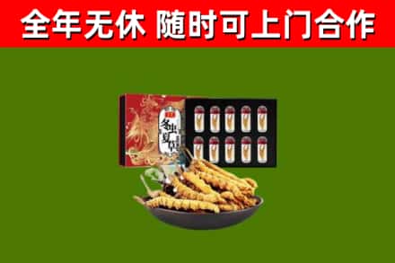辽源回收冬虫夏草价格